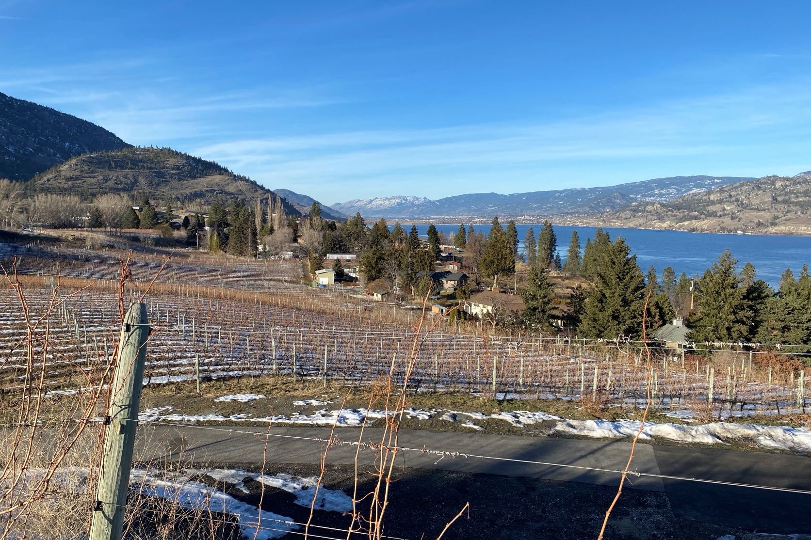 Anthony Buchanan Wines