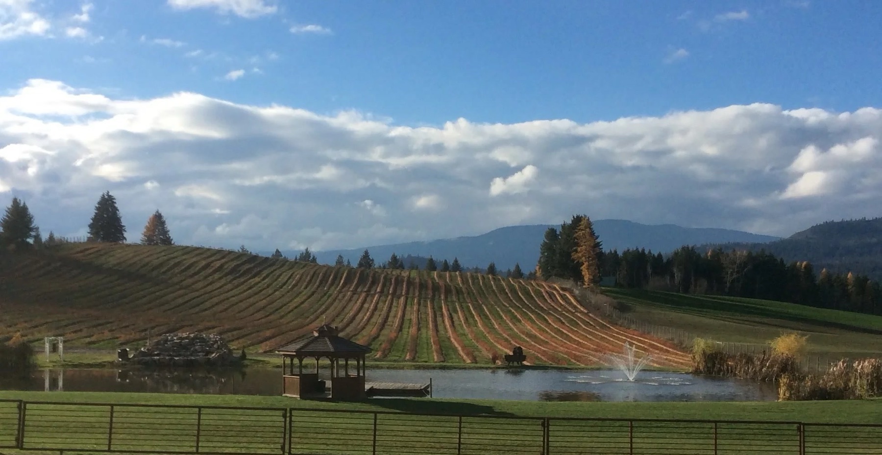Baccata Ridge Winery