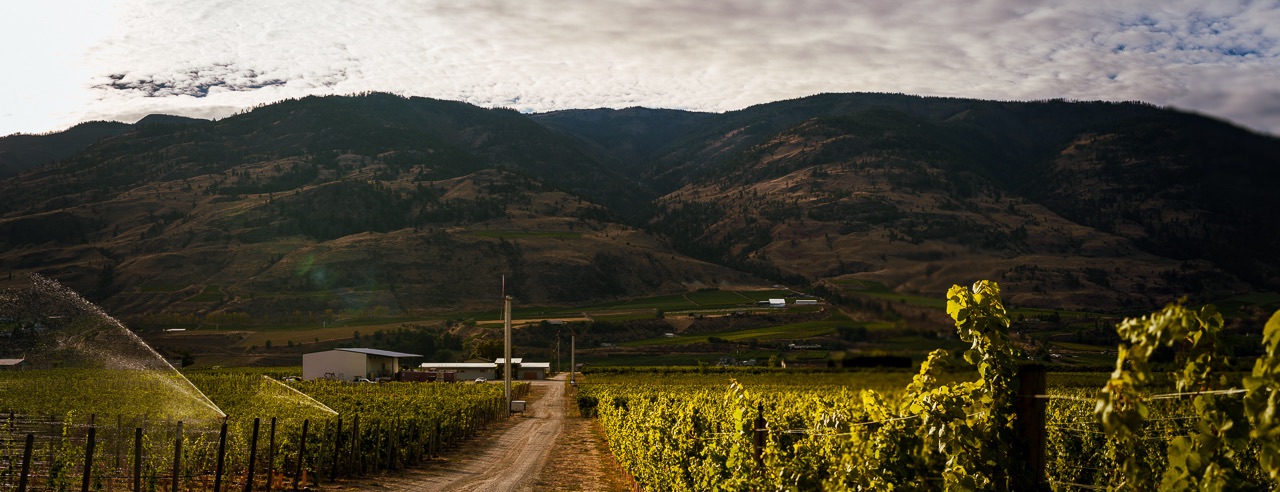 Bartier Bros. Vineyard & Winery