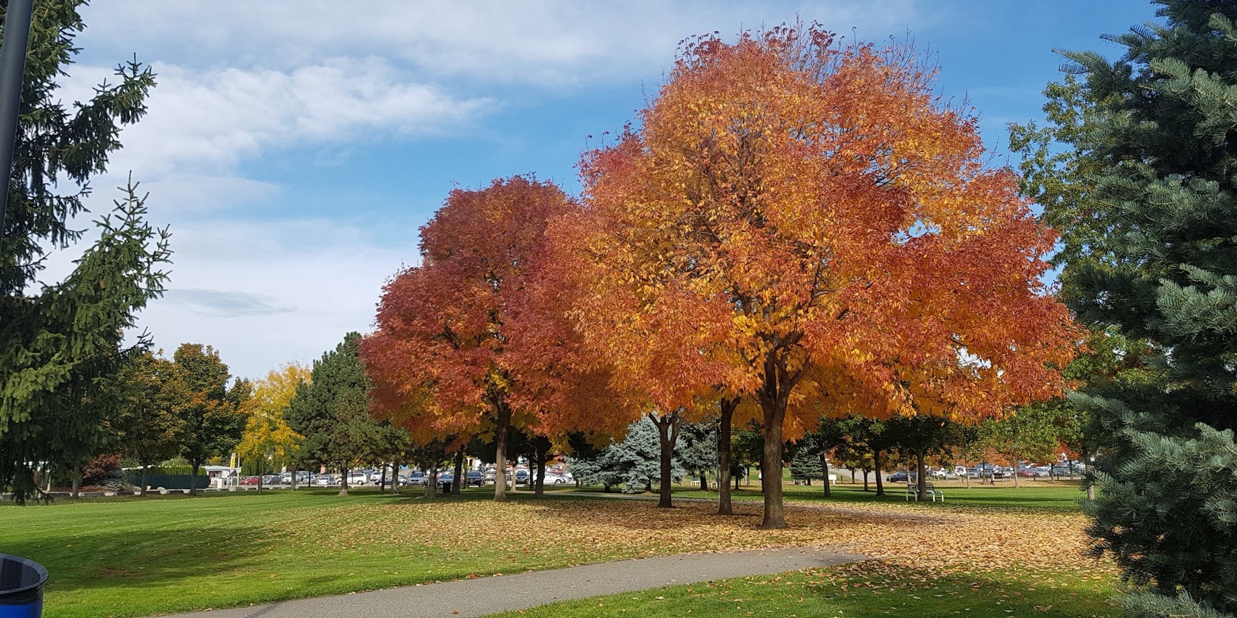 Ben Lee Park