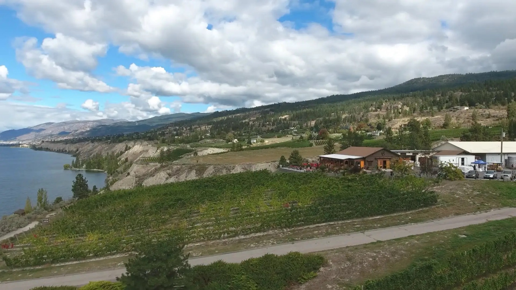 Bench 1775 Winery