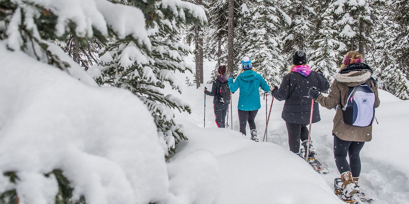 Big White Guided Snowshoe Tours