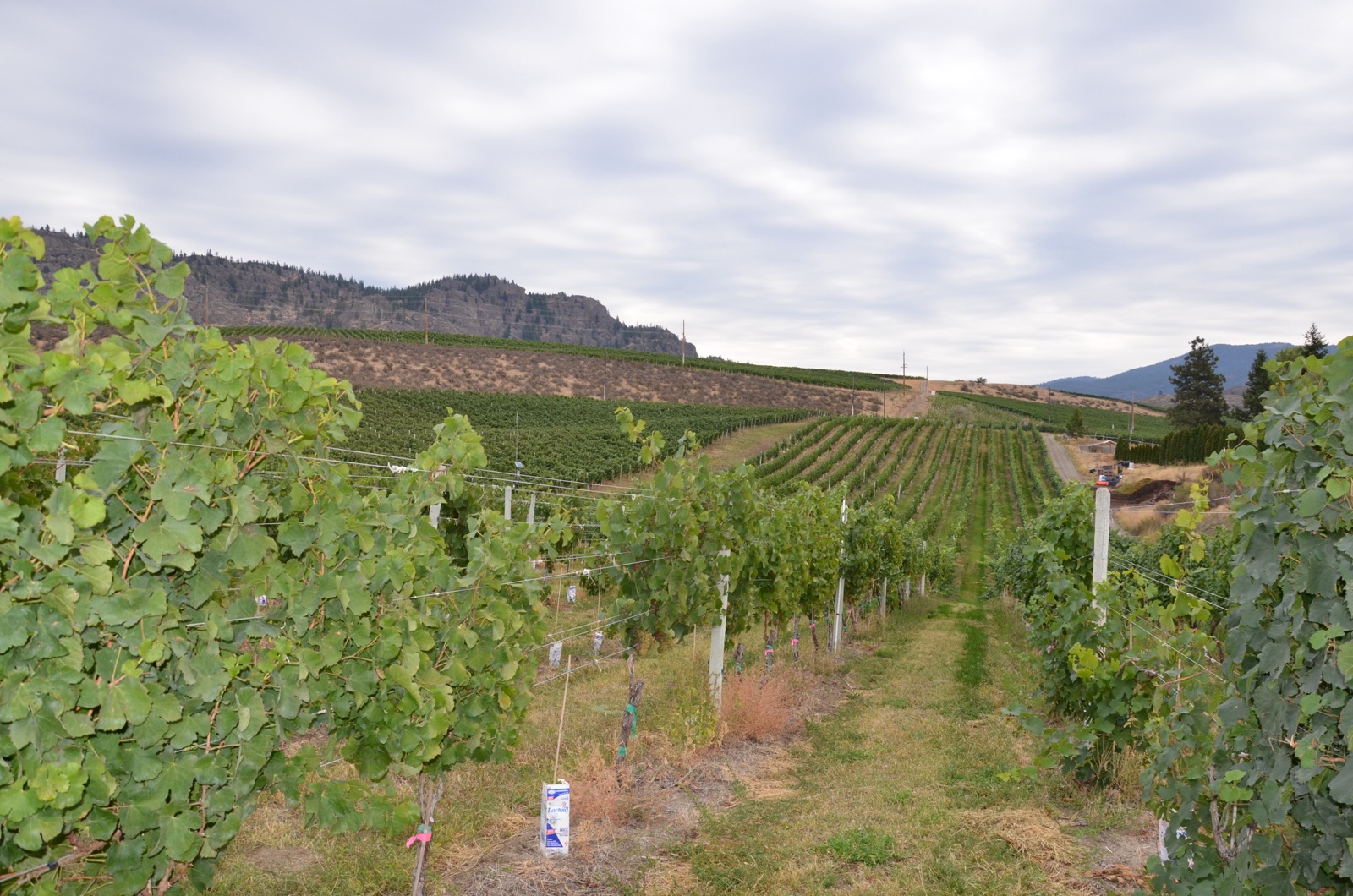 South Okanagan Tours