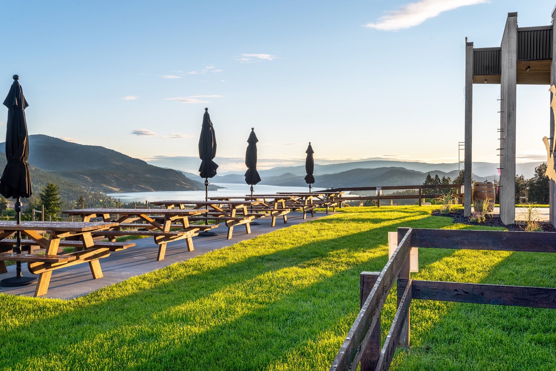 Black Swift Vineyards