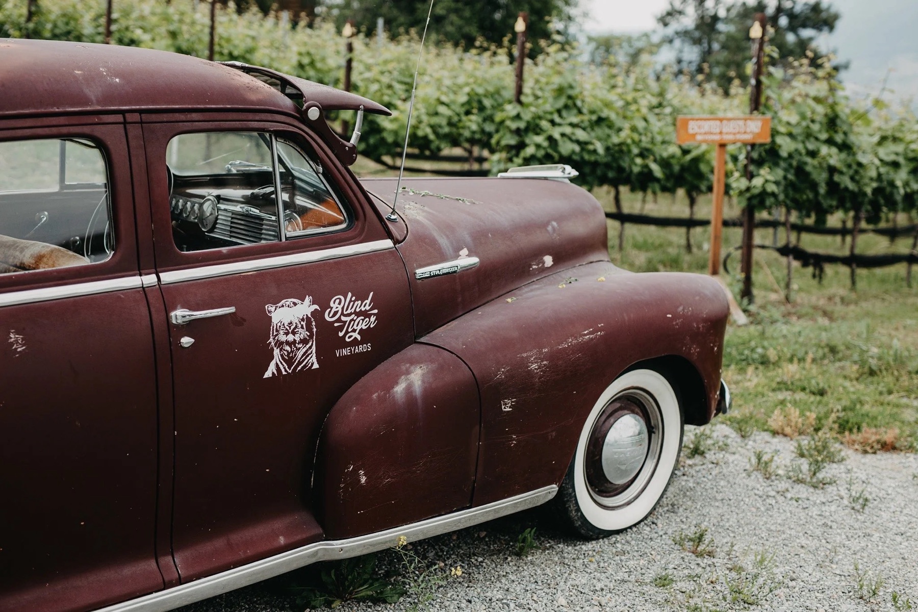 Blind Tiger Vineyards