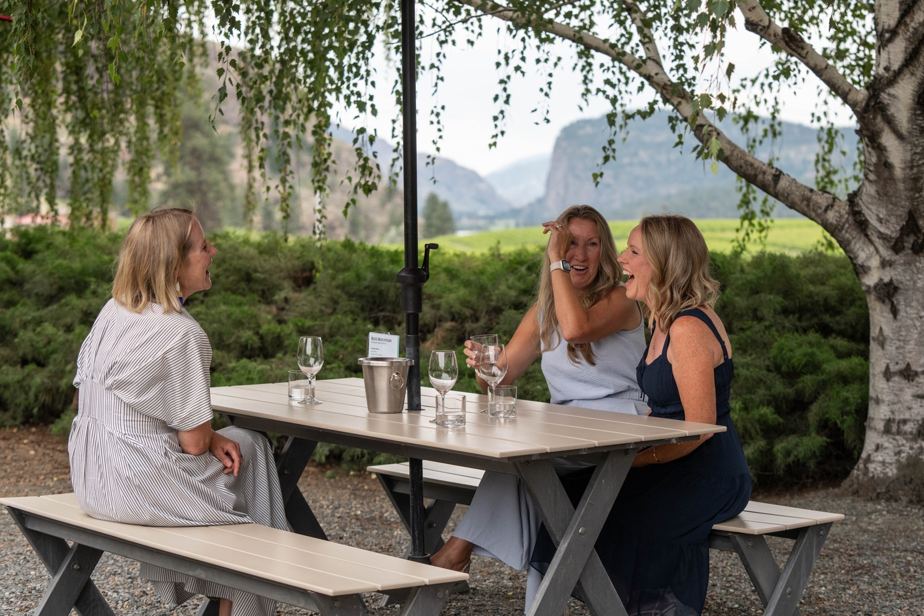 Blue Mountain Vineyard and Cellars – photo 2 sur 5