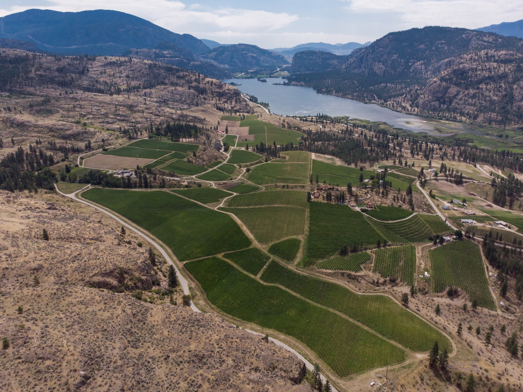Blue Mountain Vineyard and Cellars – photo 4 sur 5