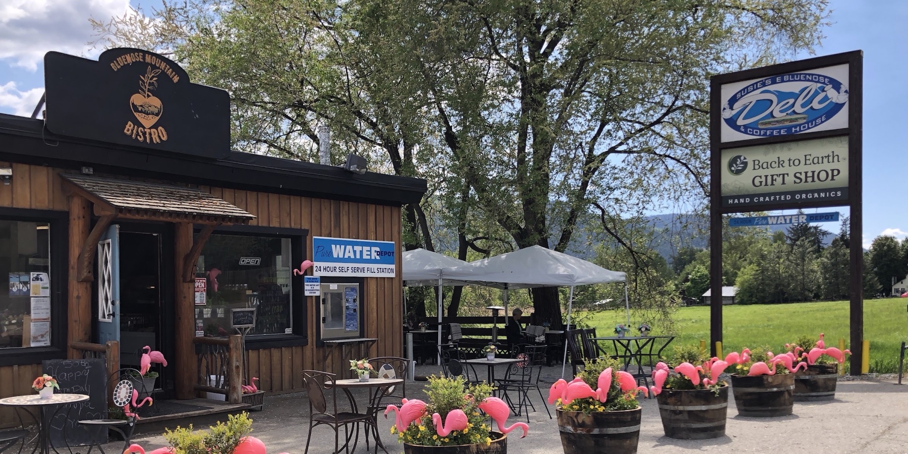Bluenose Mountain Bistro