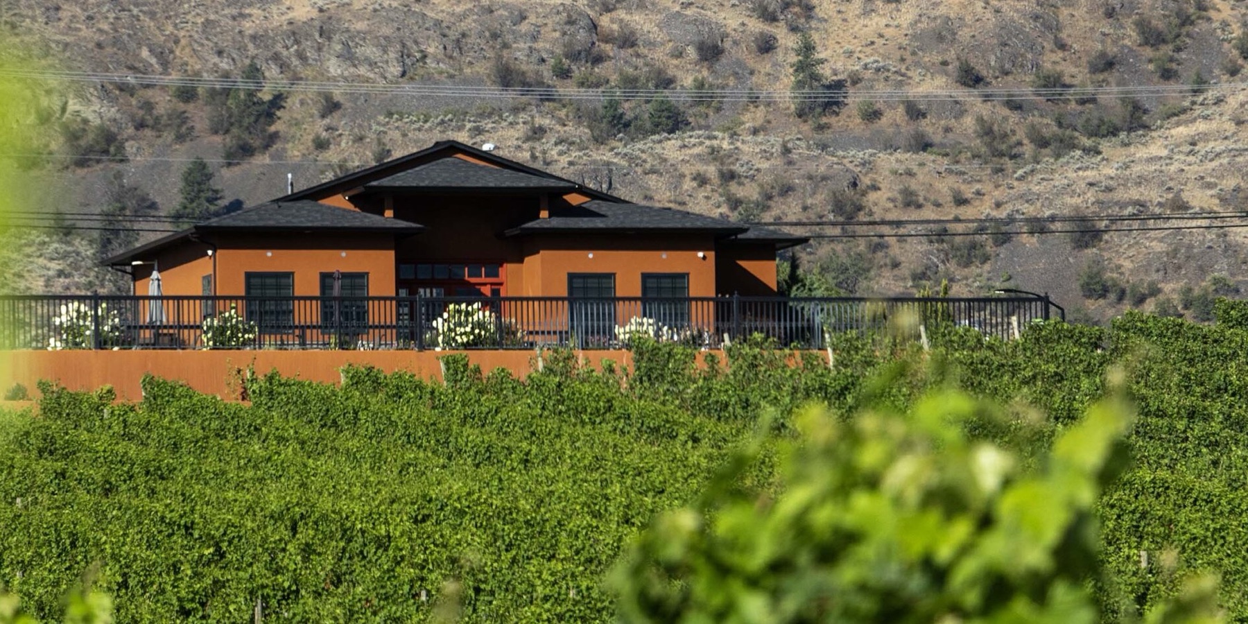 Bordertown Vineyards & Estate Winery