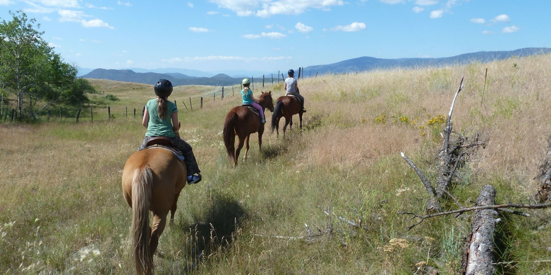 Bridlewood Riding Centre