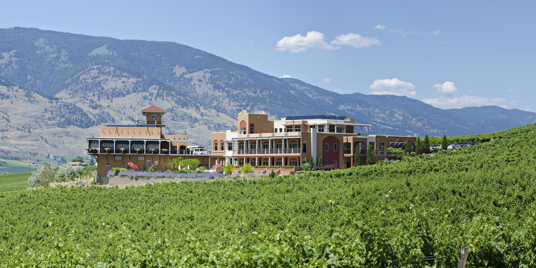 Burrowing Owl Estate Winery