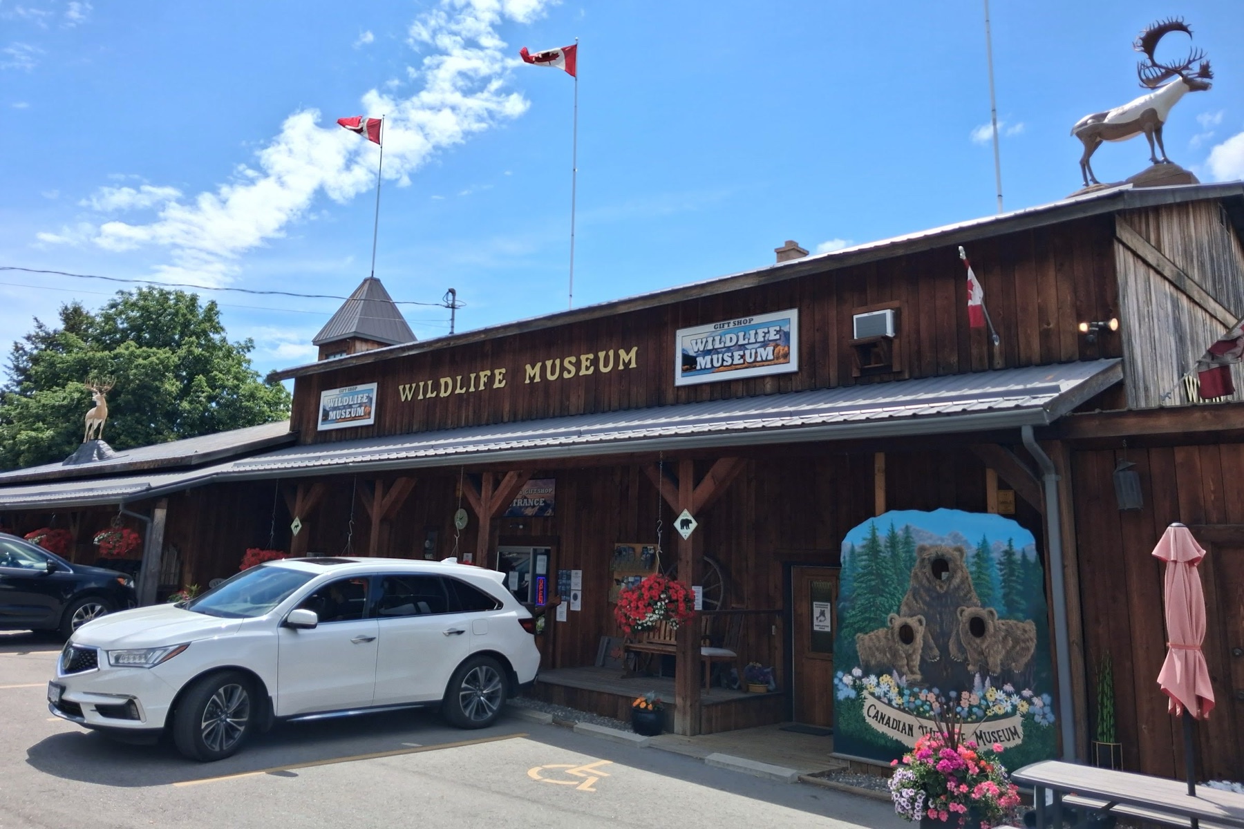 Canadian Wildlife Museum