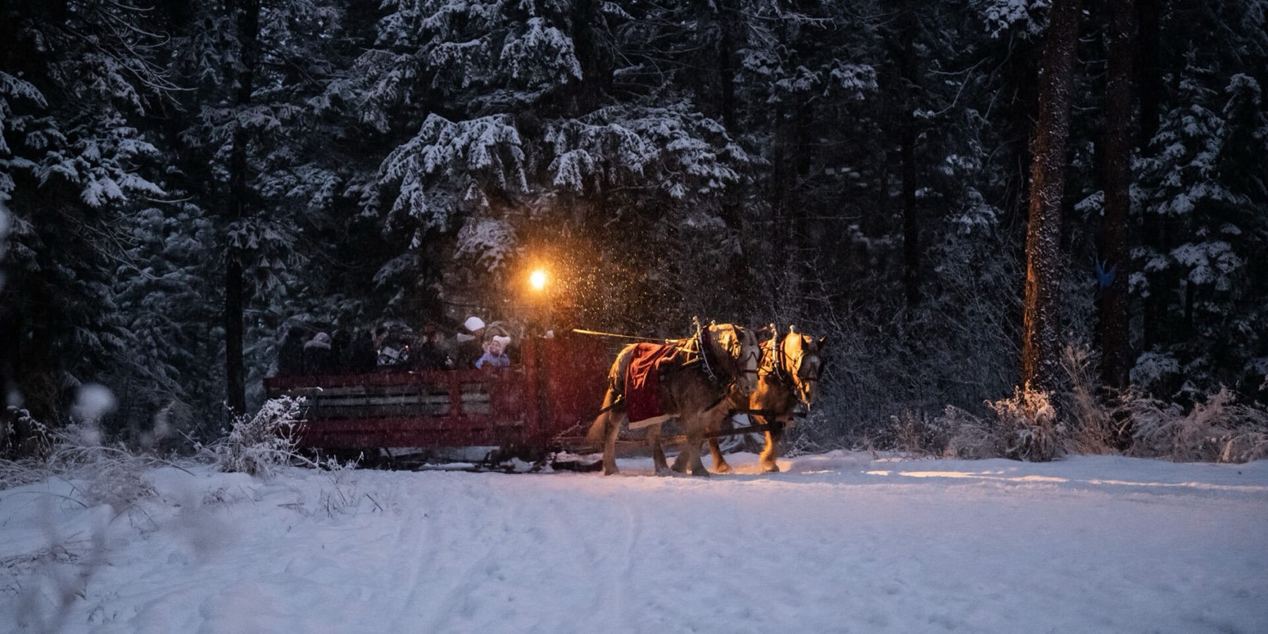 Caravan Farm Theatre – Winter Sleigh Ride Show