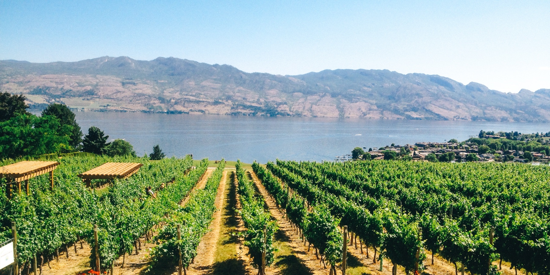 Carefree Wine Tours