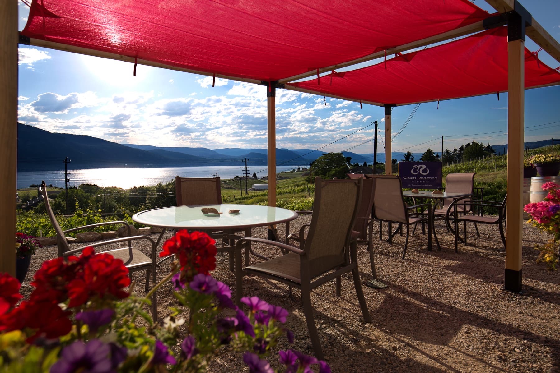 Chain Reaction Winery
