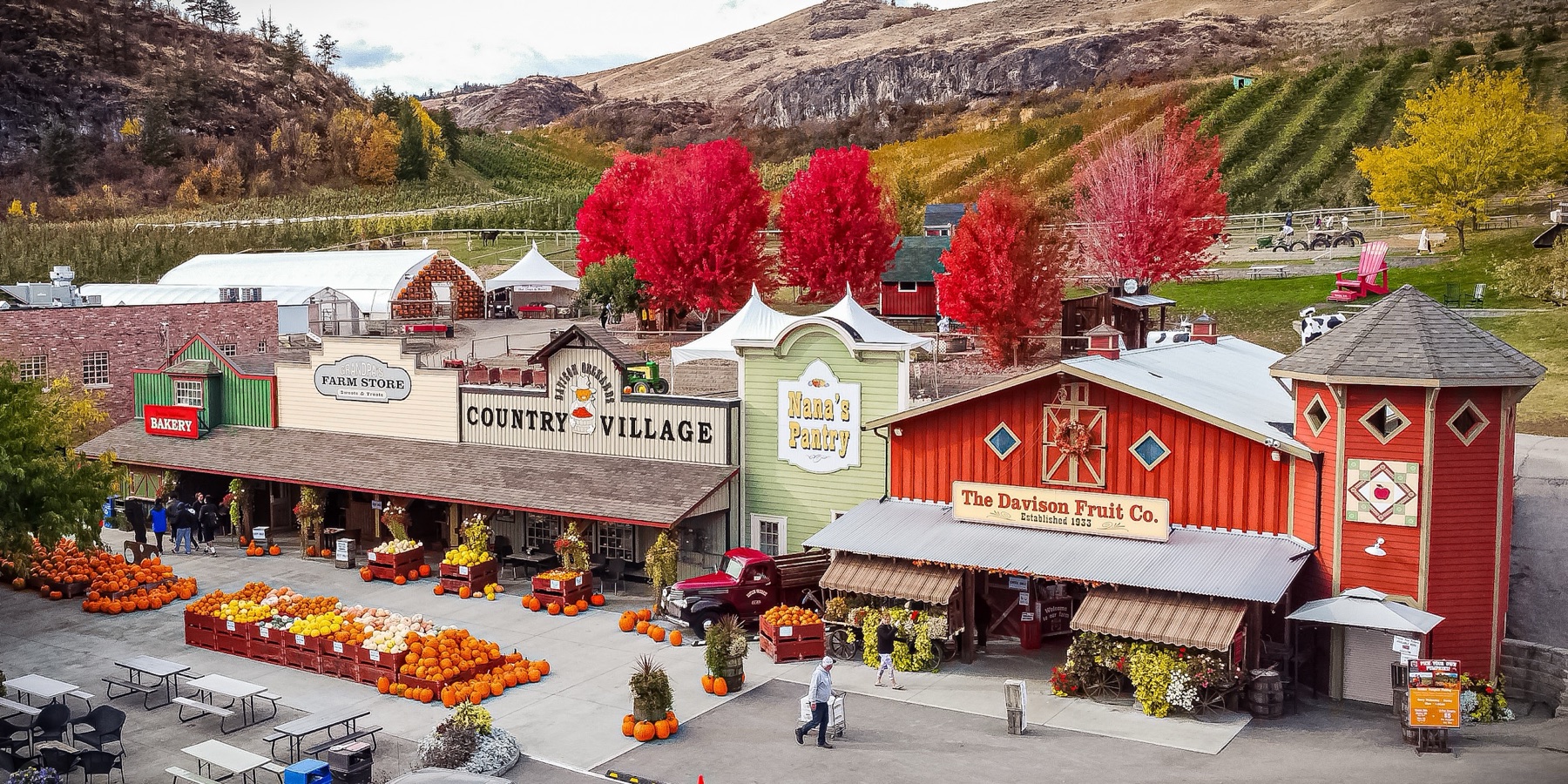 Davison Orchards