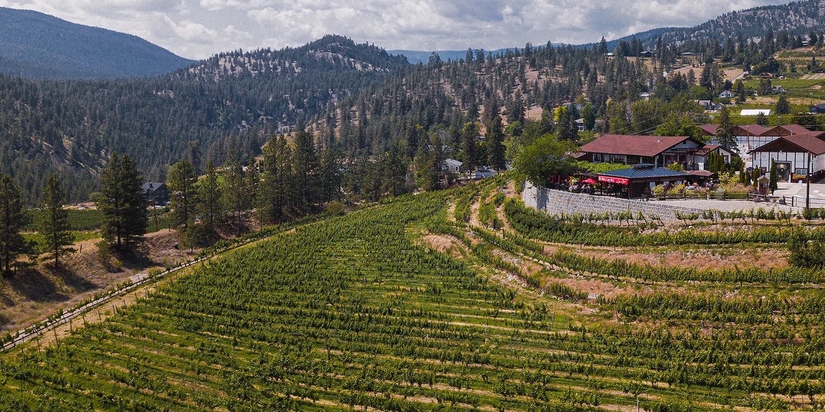 Dirty Laundry Winery