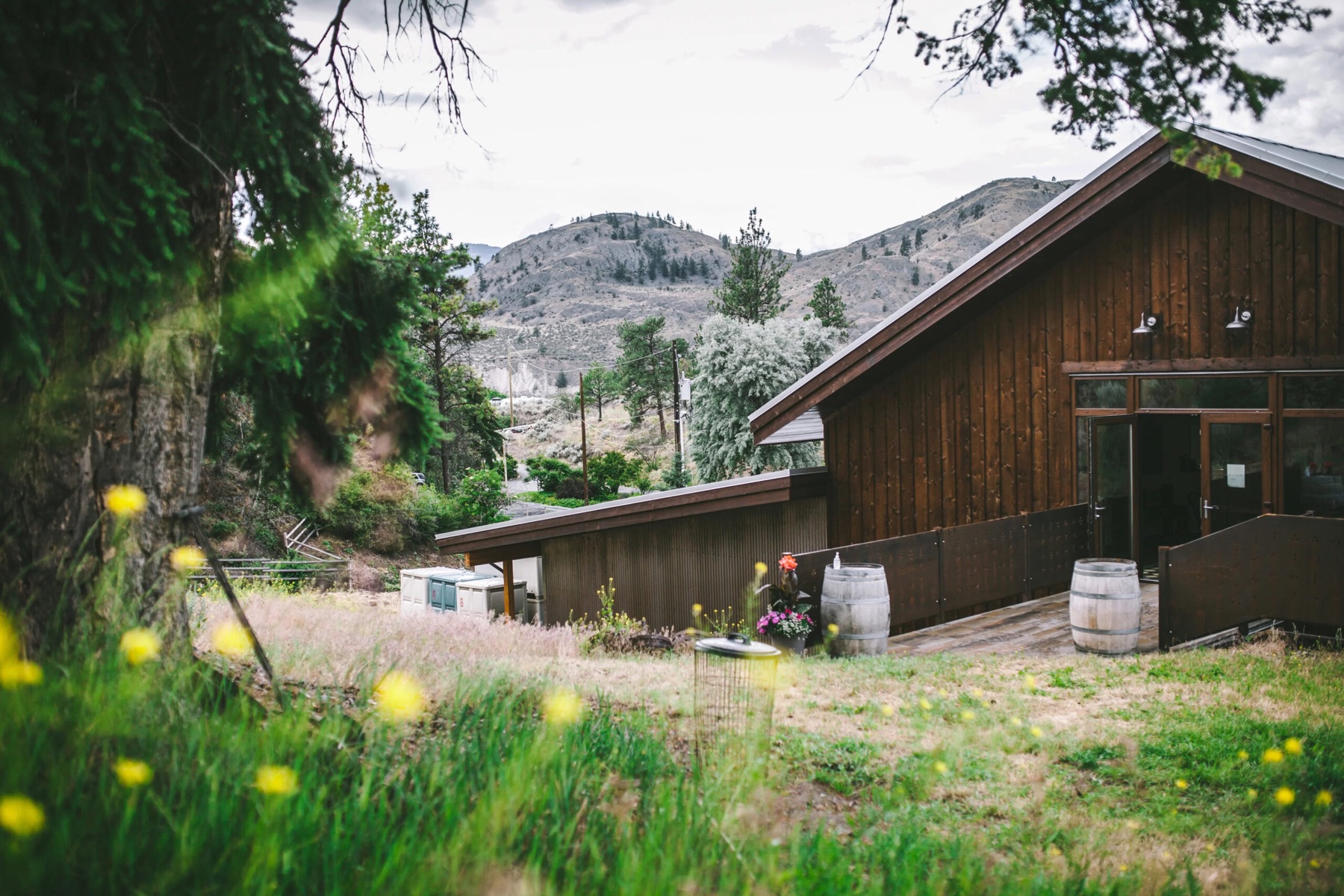 Echo Bay Vineyard
