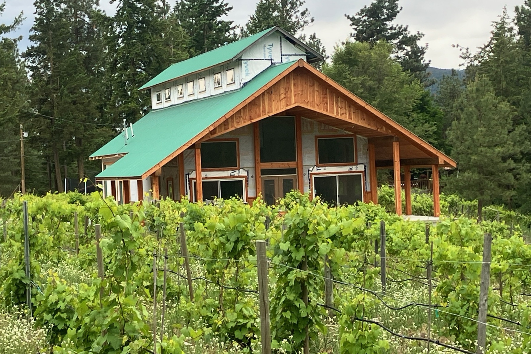 Edge of the Earth Vineyards