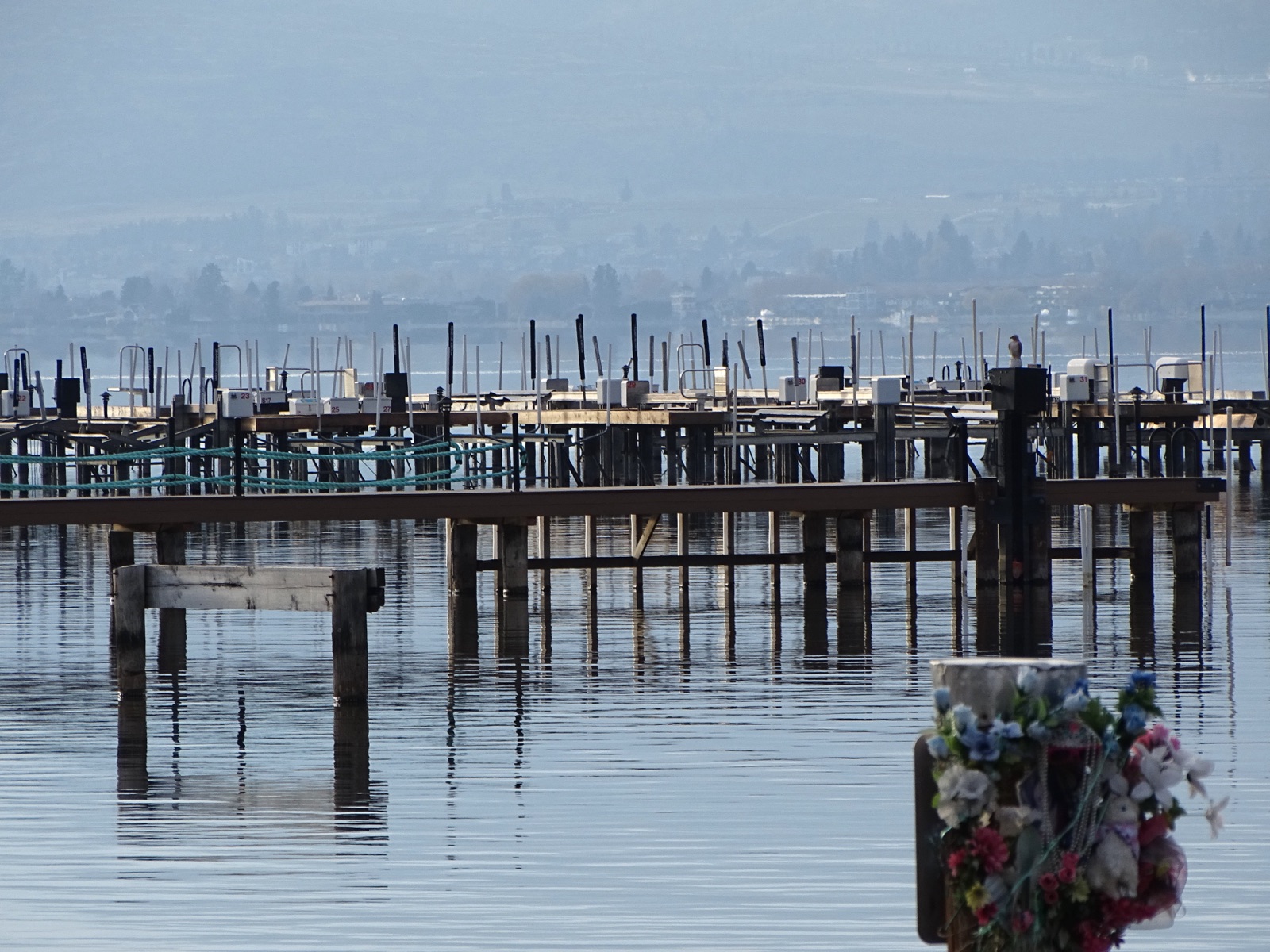 Eldorado Yacht Club
