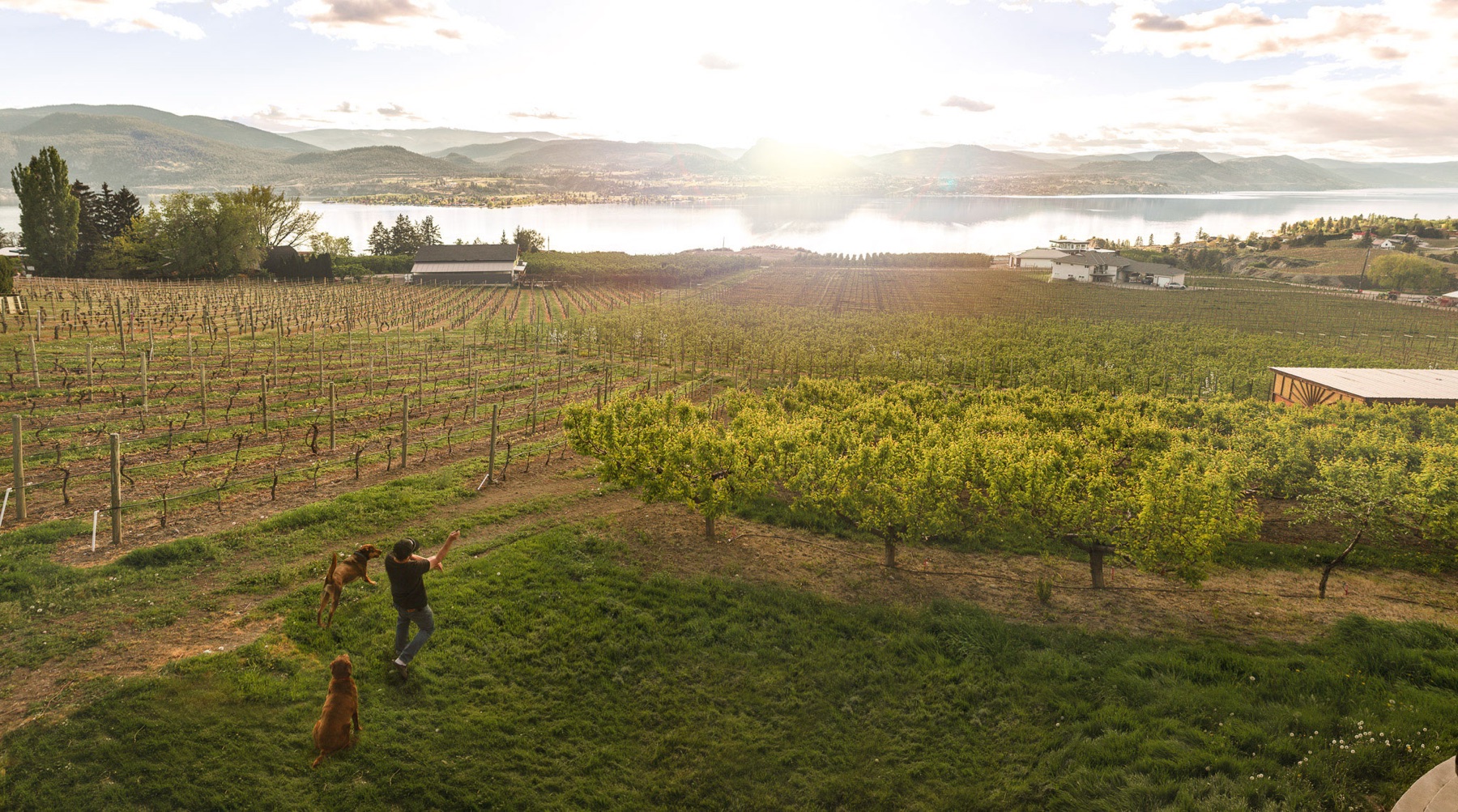 Elephant Island Winery