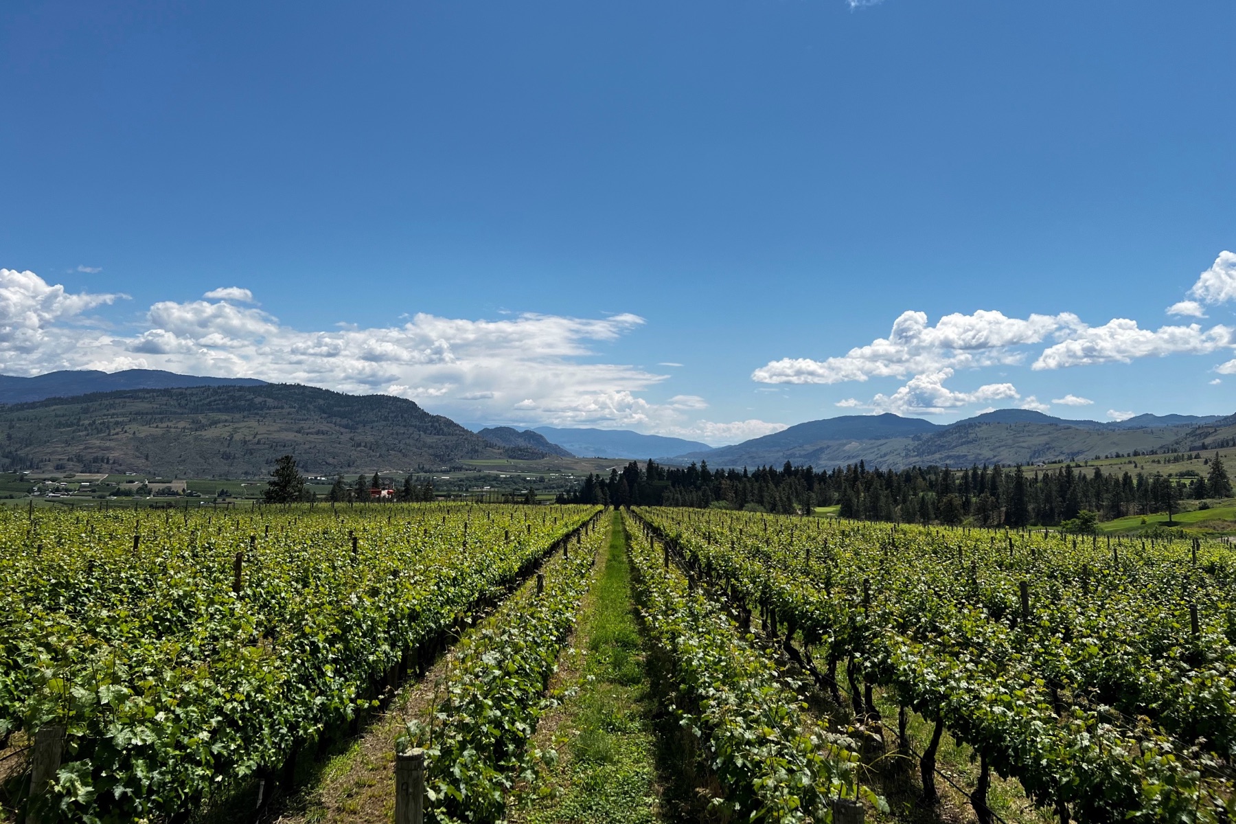Fairview Cellars