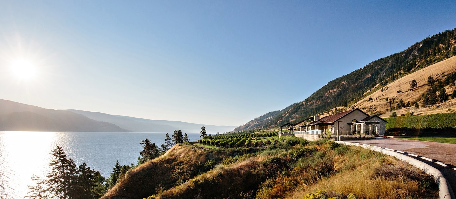 Fitzpatrick Family Vineyards at Greata Ranch