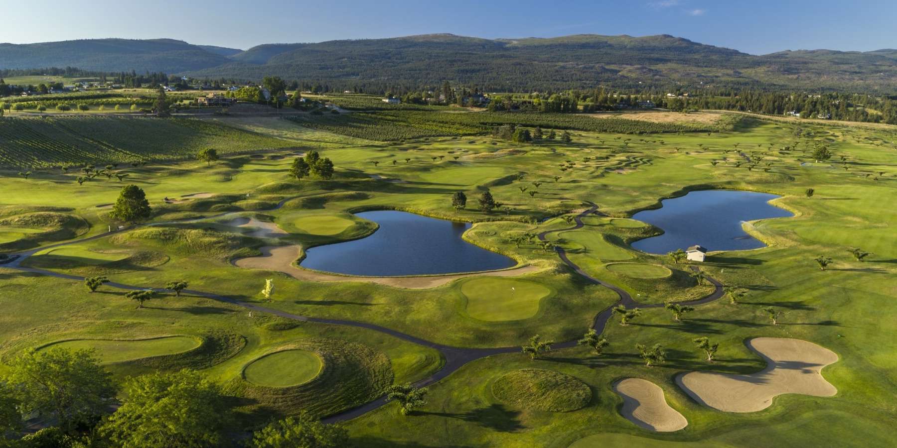 The Harvest Golf Club