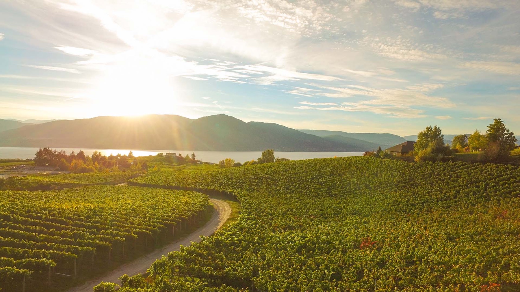 Hillside Winery