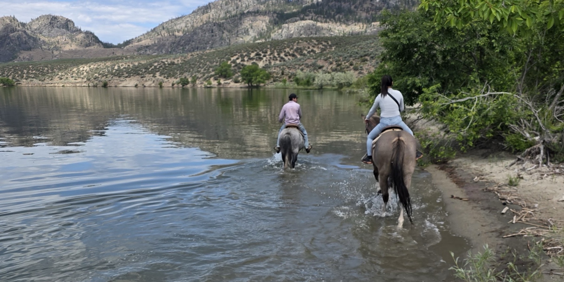 Indian Grove Riding Stables