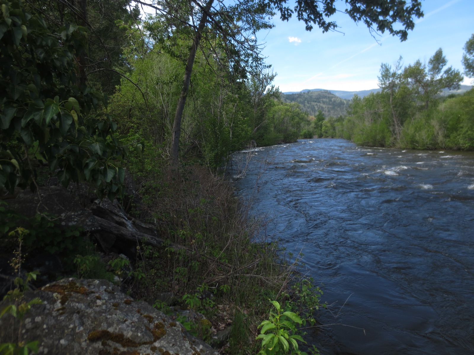 Inkaneep Provincial Park Campground