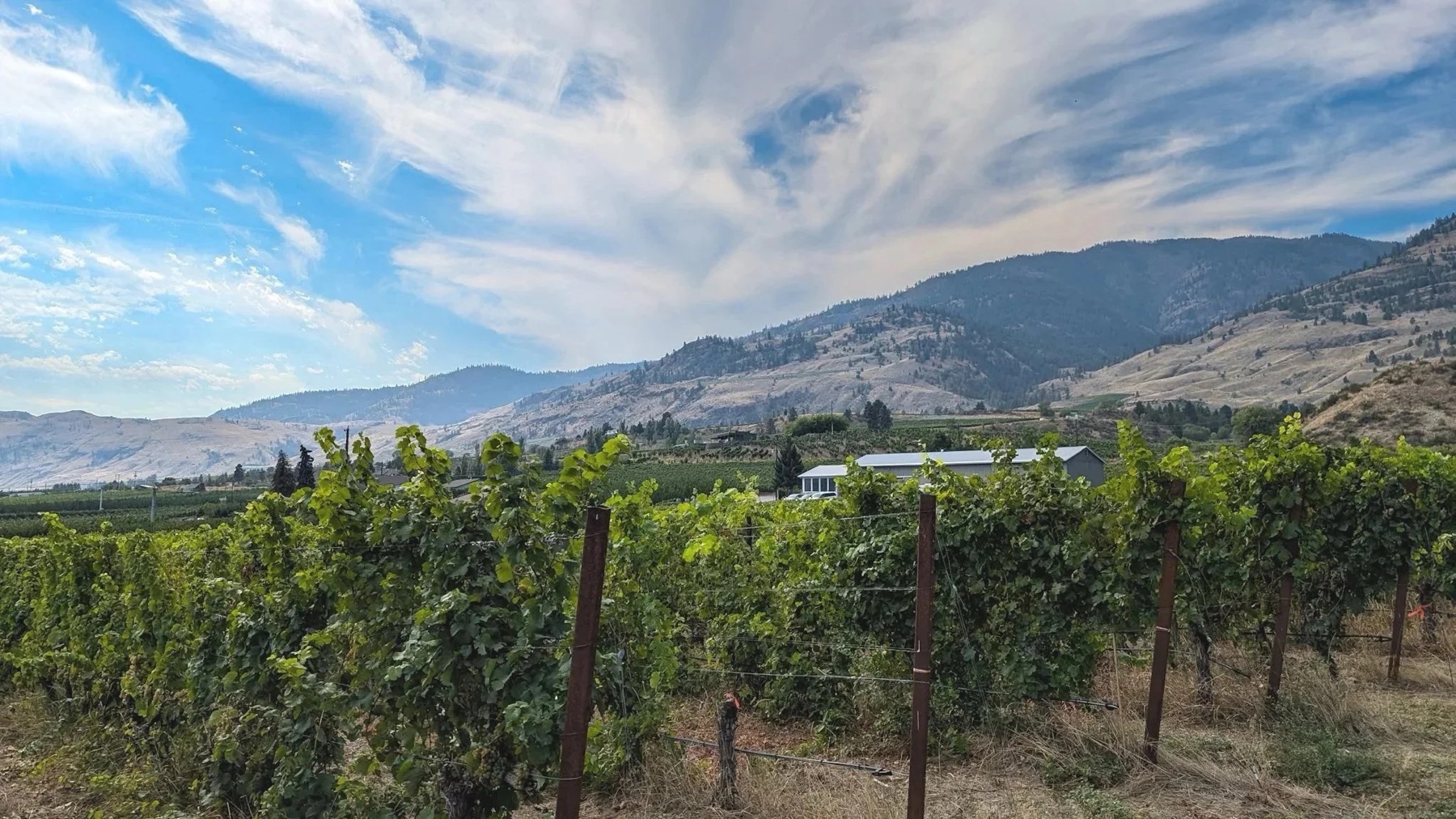 Intersection Estate Winery