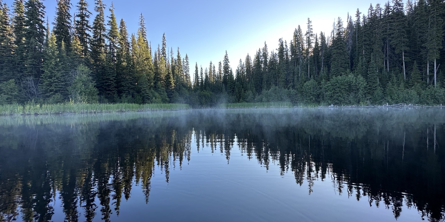 Island Lake Recreation Site (Dee Lake chain)