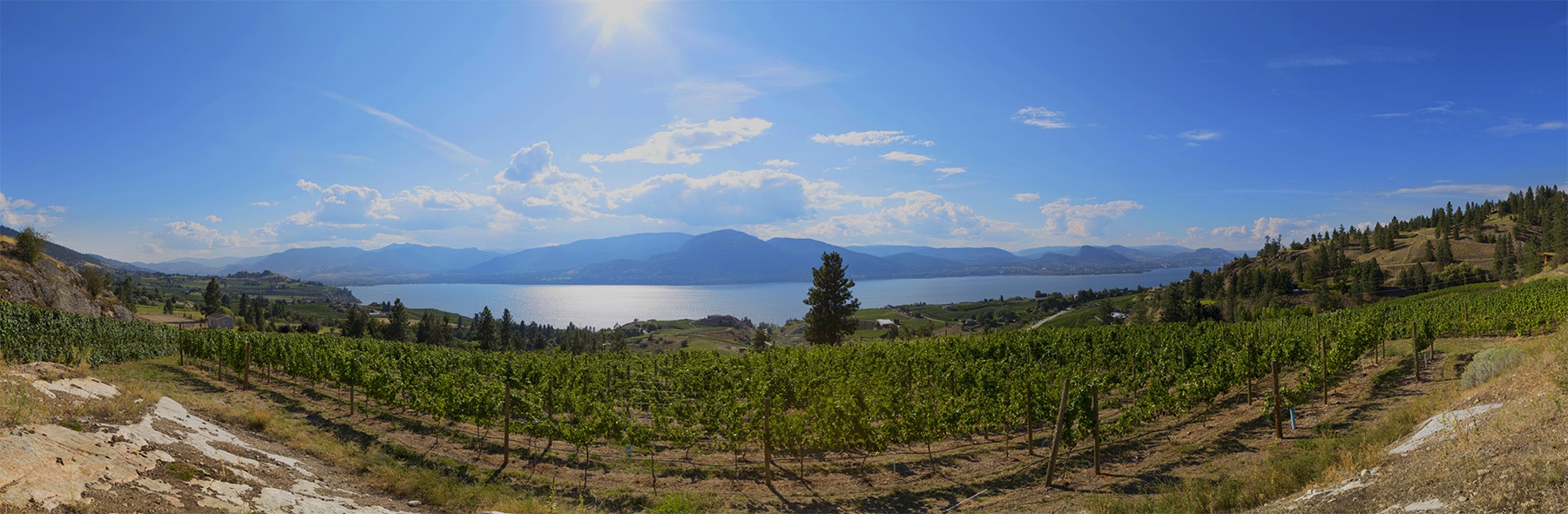 Kettle Valley Winery