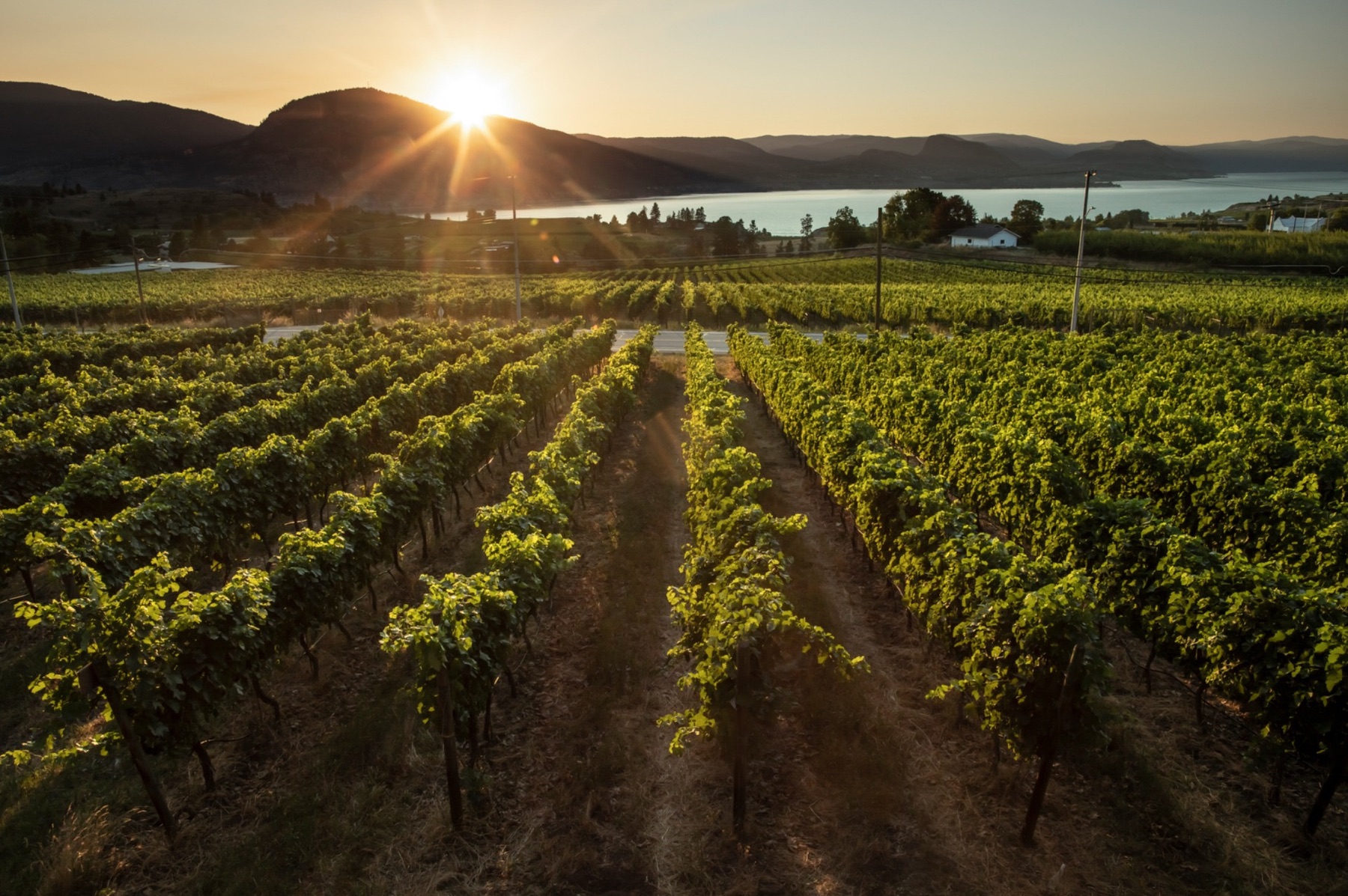 La Frenz Winery