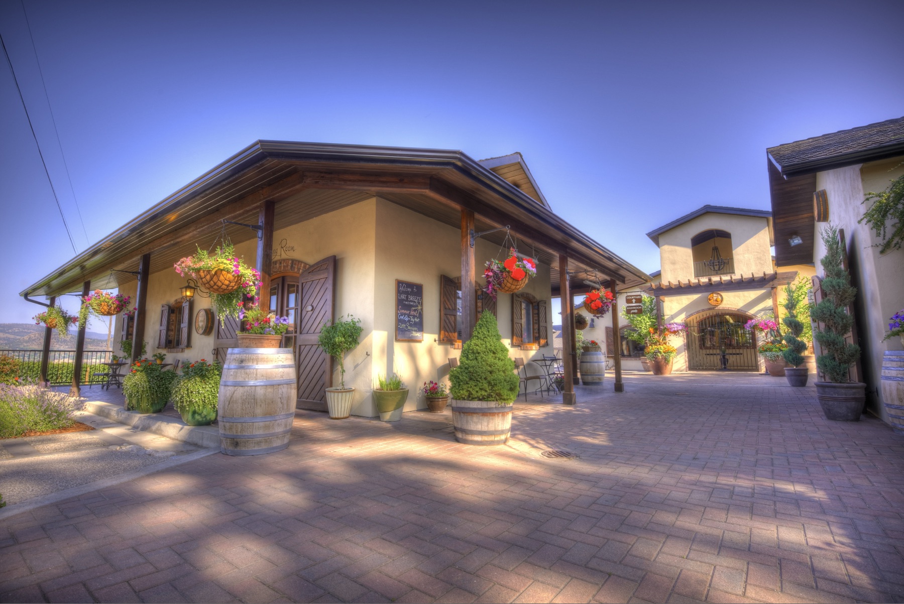 Lake Breeze Vineyards Tasting Room
