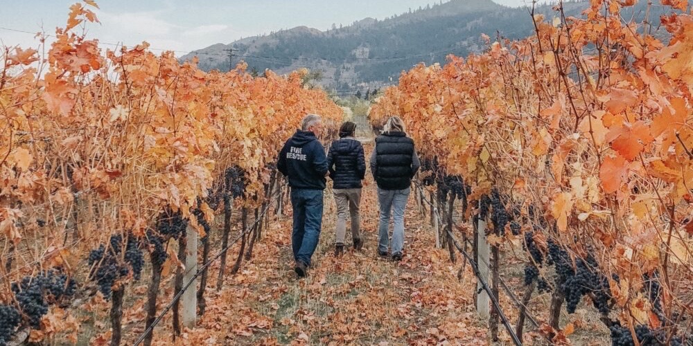 Lariana Cellars