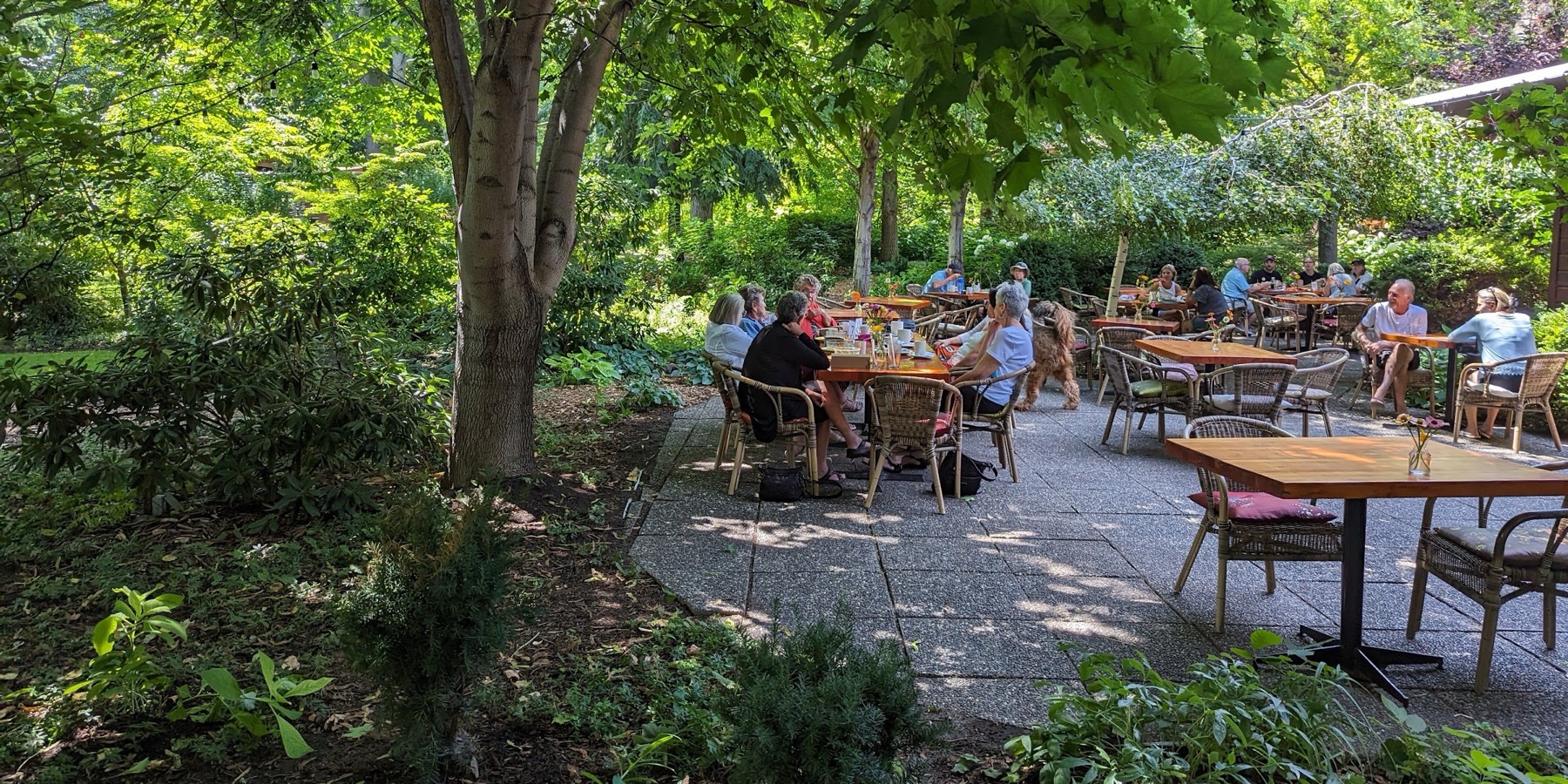 Linden Gardens