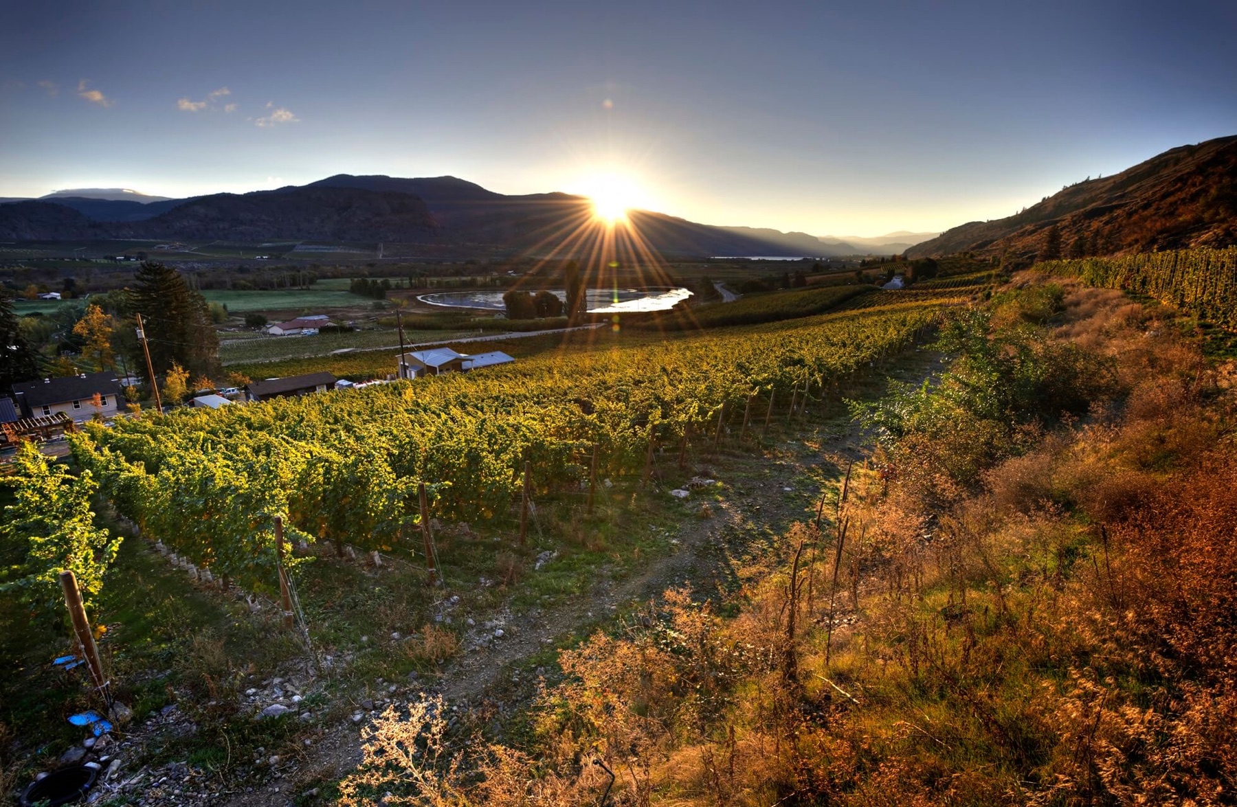 Maverick Estate Winery