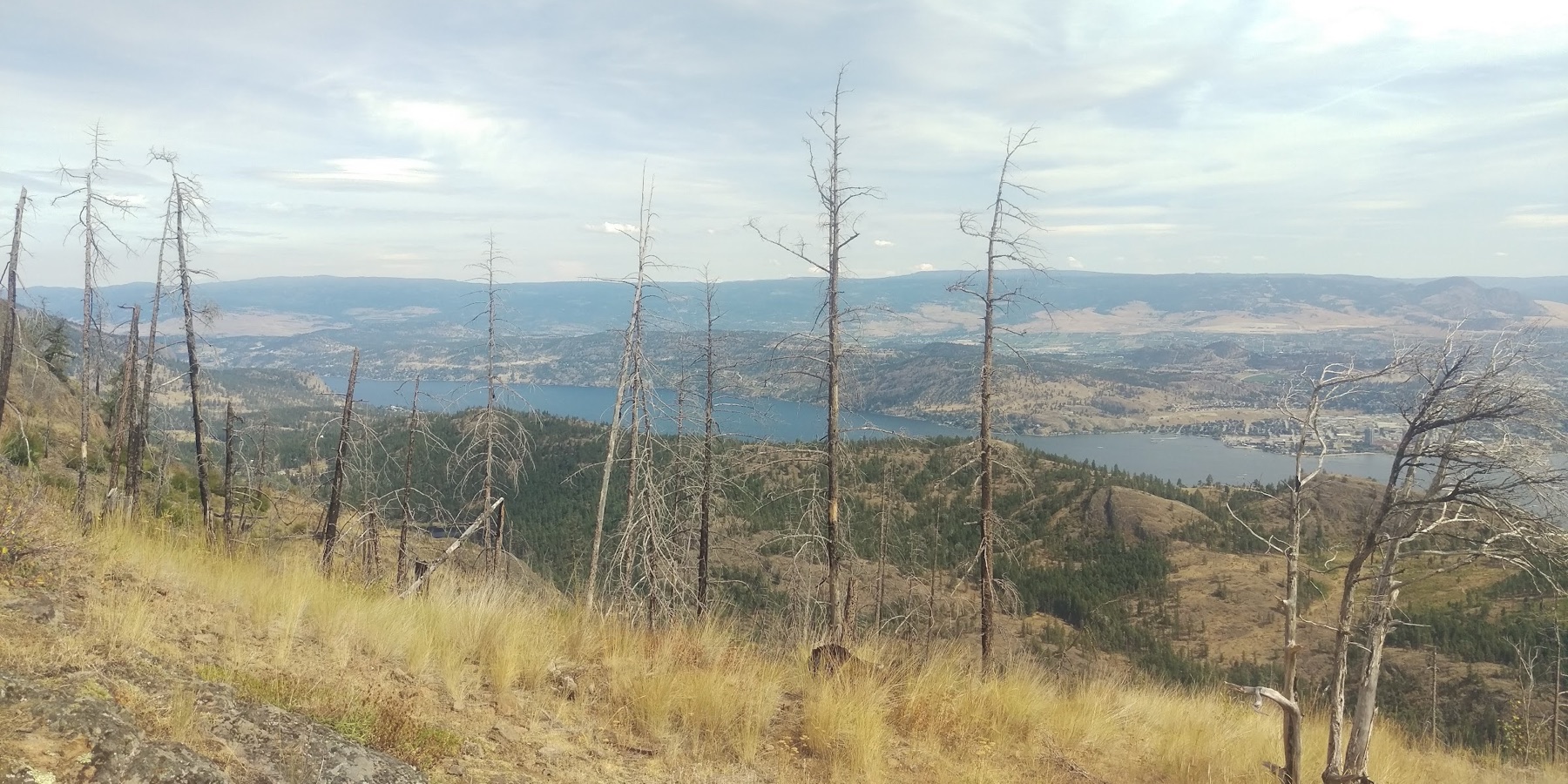 McDougall Rim Trail