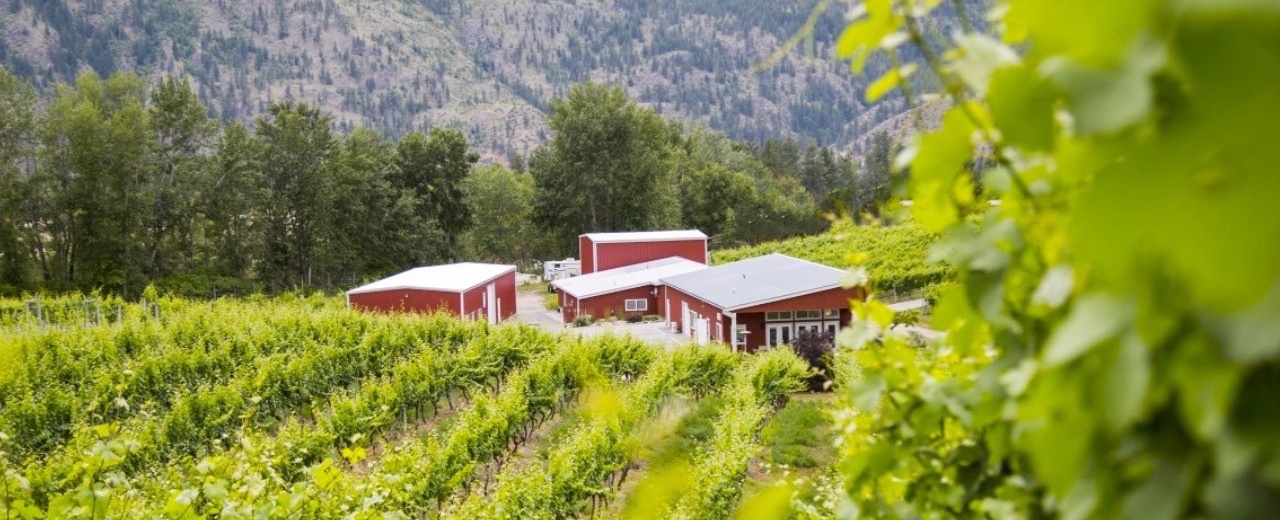 Meyer Family Vineyards