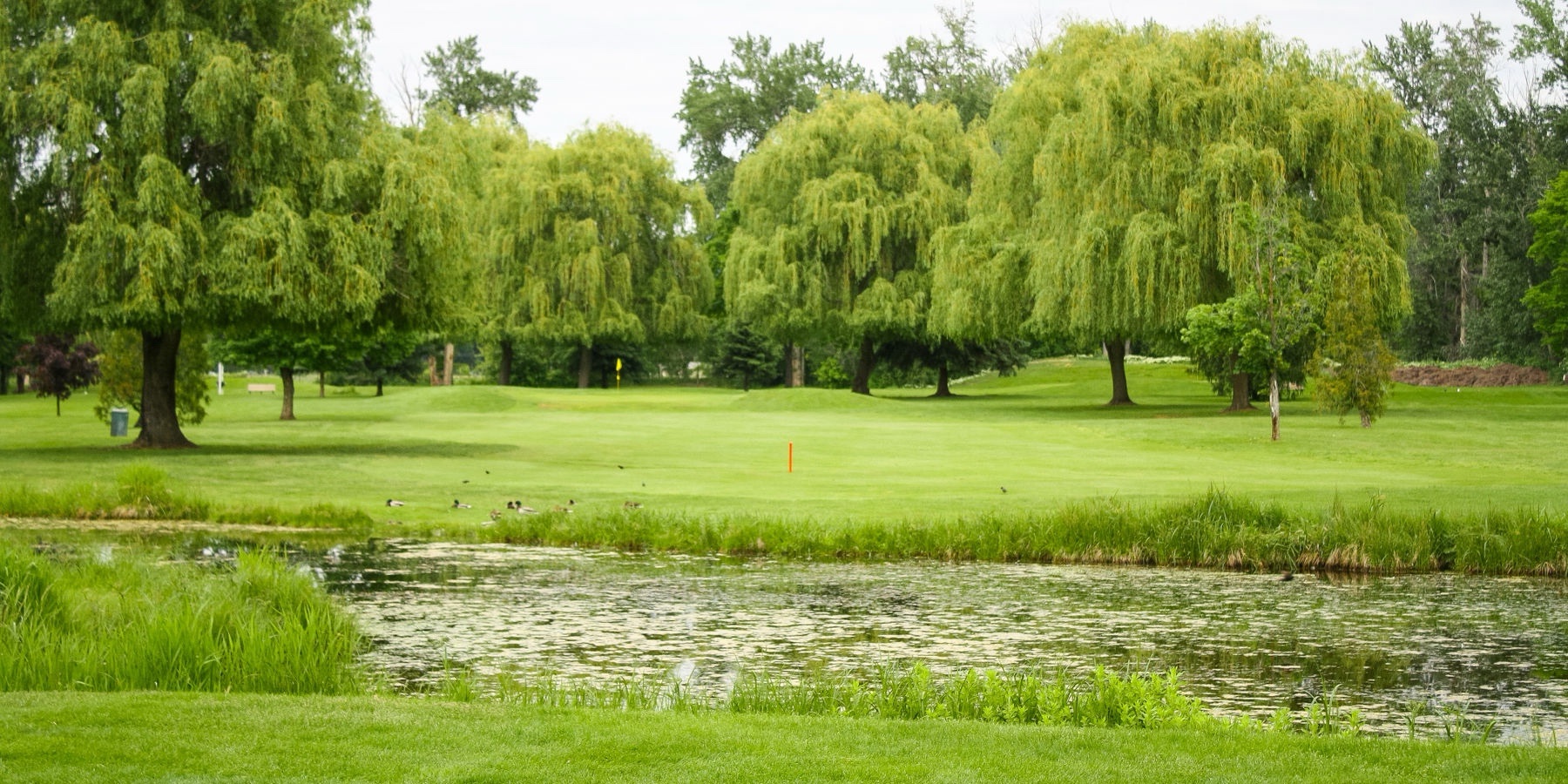 Mission Creek Golf Club