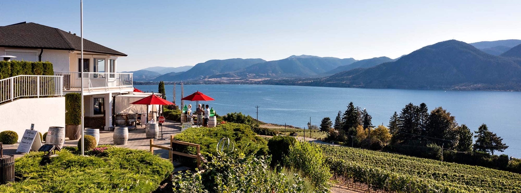 Mocojo Winery