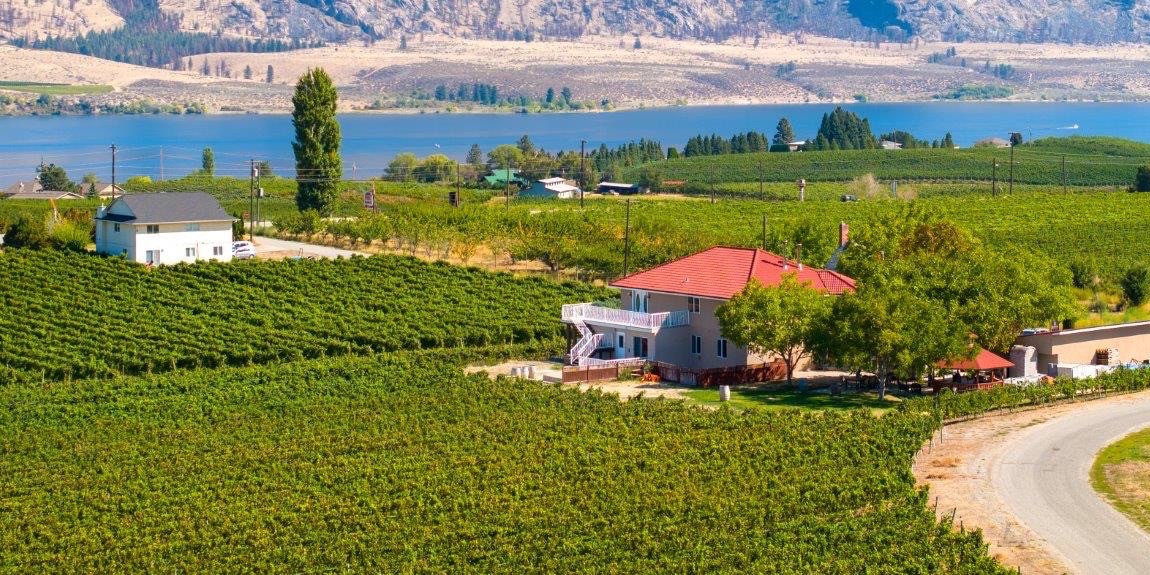 Mythology Vineyard