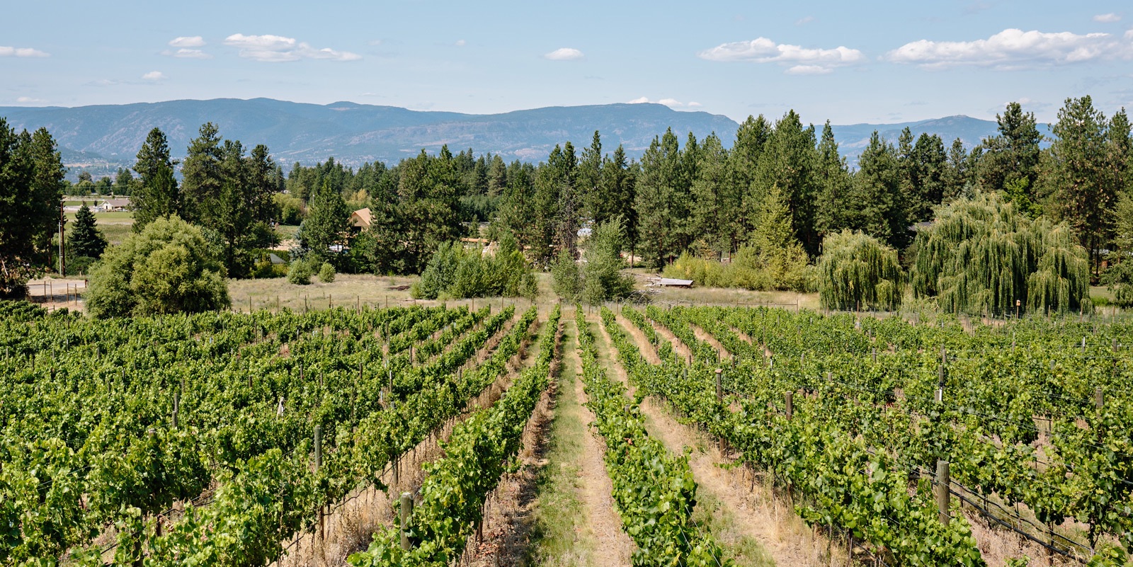 Nagging Doubt Winery