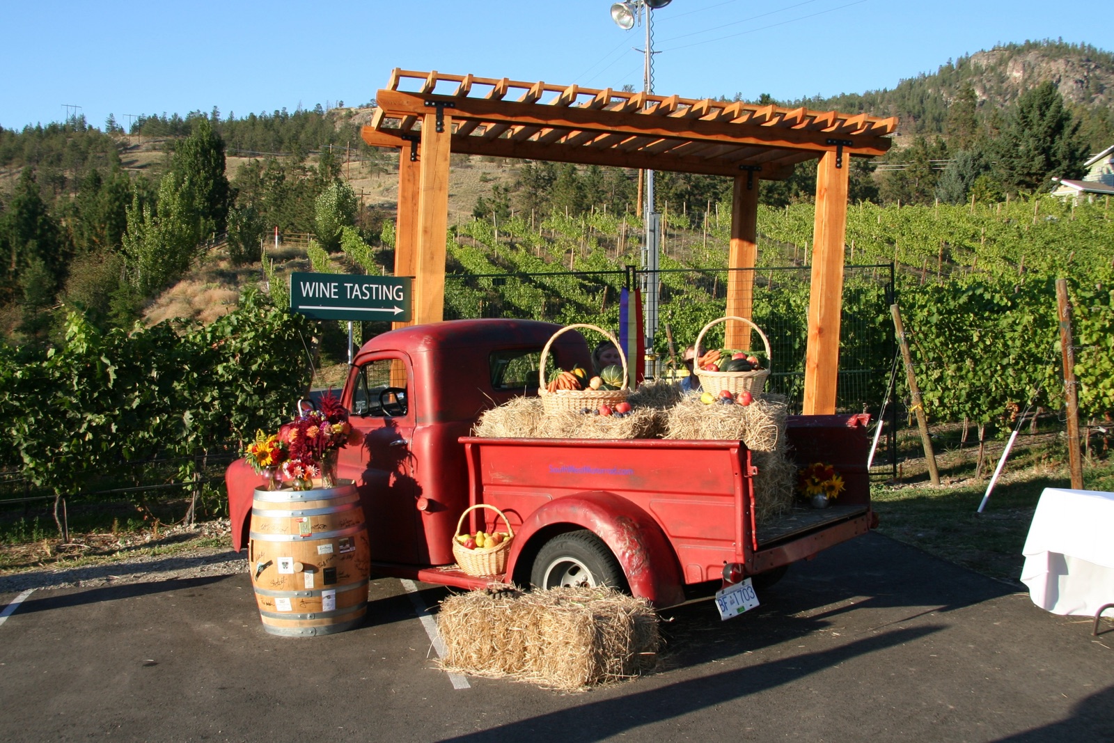 Grape Friends Lounge & Tours