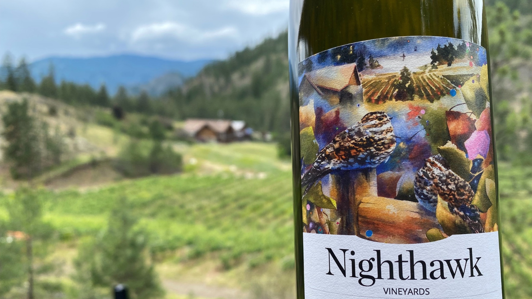 Nighthawk Vineyards – photo 5 sur 5