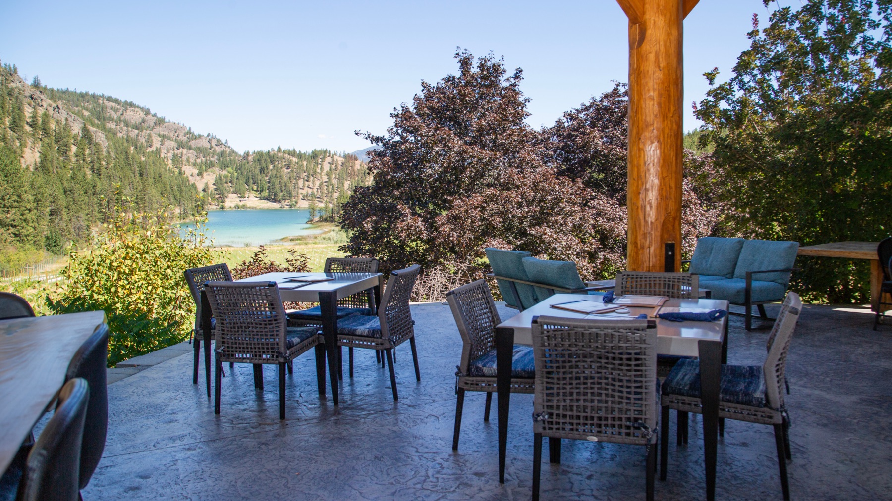 Nighthawk Vineyards – photo 2 sur 5