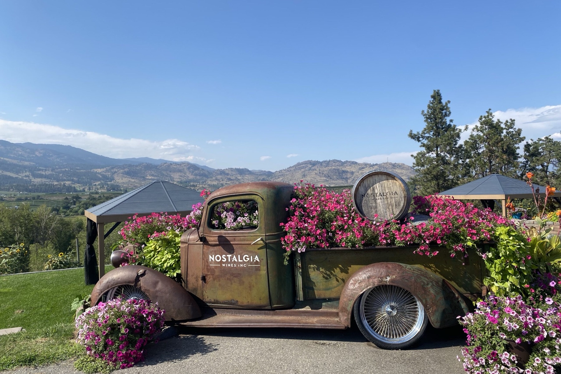 Nostalgia Wines