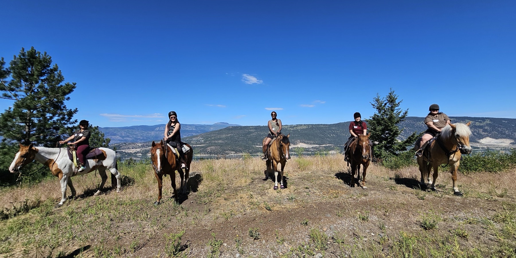 Okanagan Stables